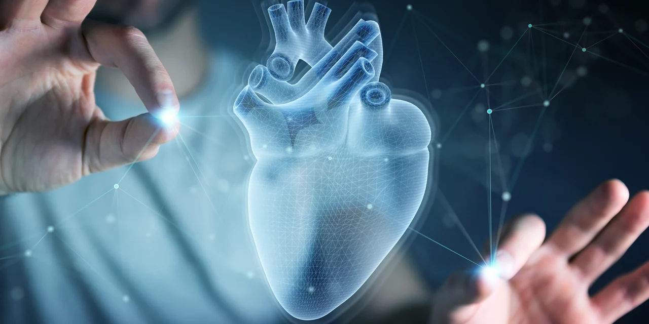 🎥 IMPACT insights: video-interviews from our project partners!