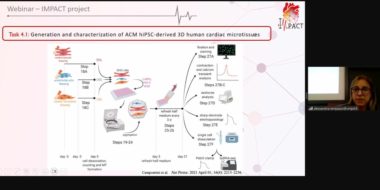 🎙️ First webinar ✔ | Advancing cardiomyopathy research through AI: the role of IMPACT Project