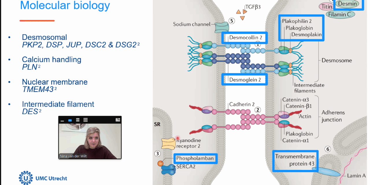 🎙️ Second webinar ✔ | REMODEL & IMPACT: Omics for tomorrow’s medicine