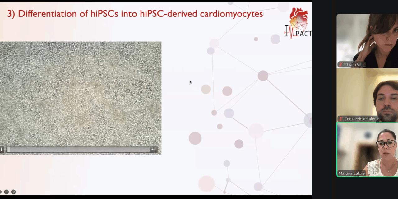 📢 Fourth webinar ✔ | Exploiting iPSC-based research: how REMODEL & IMPACT contribute to disease modeling